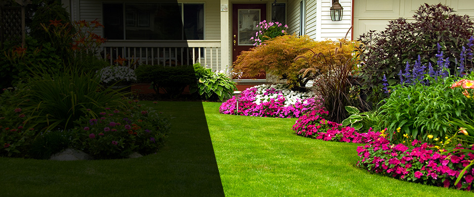 Midlothian Landscapers