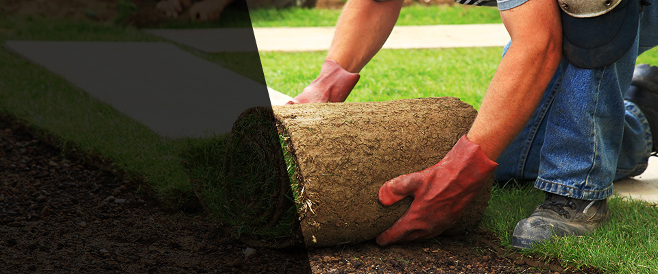 Midlothian Landscapers